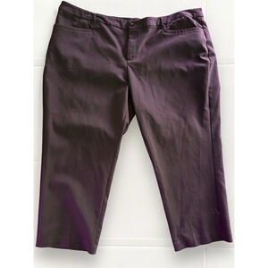 CJ Banks Womens Size 22W Petite Brown Moderately Curvy Relaxed Fit Trouser Pants